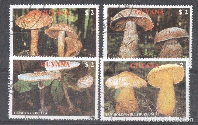 Sellos: Guyana 1989 Mushrooms used  DE.080 - Foto 1