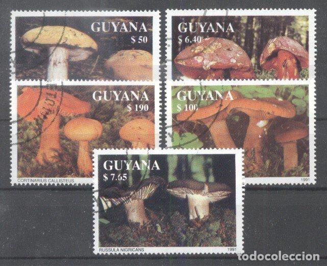 Sellos: Guyana 1991 Mushrooms used  DE.082 - Foto 1