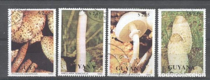 Sellos: Guyana 1990 Mushrooms used  DE.052 - Foto 1