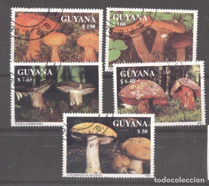 Sellos: Guyana 1991 Mushrooms, used    M.232 - Foto 1