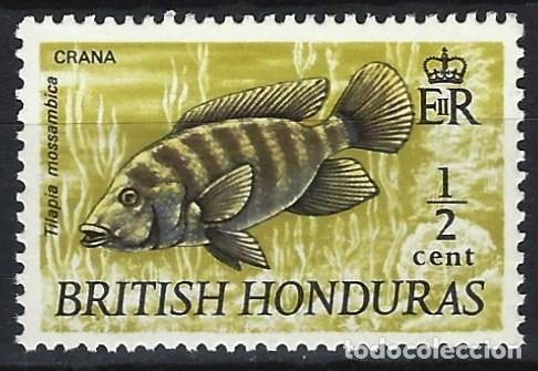 Stamps: HONDURAS BRIT&Aacute;NICA 1971 - FAUNA, PECES, Tilapia mozambique&ntilde;a - MNH**