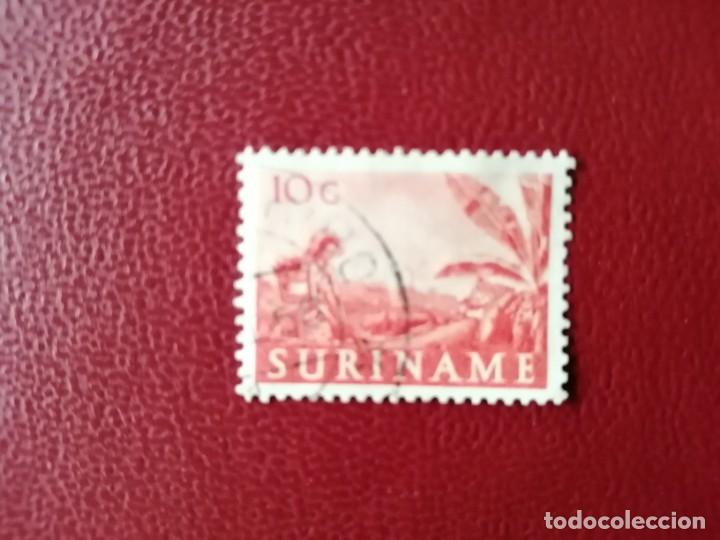 Briefmarken: SURINAME - SURINAM - GUAYANA NEERLANDESA - VALOR FACIAL 1O C - PLANTACI&Oacute;N AGR&Iacute;COLA