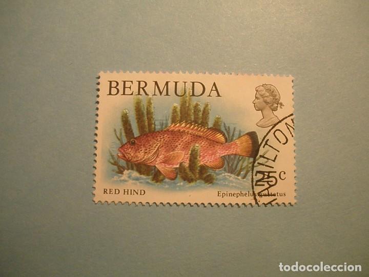 Sellos: BERMUDAS - PECES, RED HING. - Foto 1