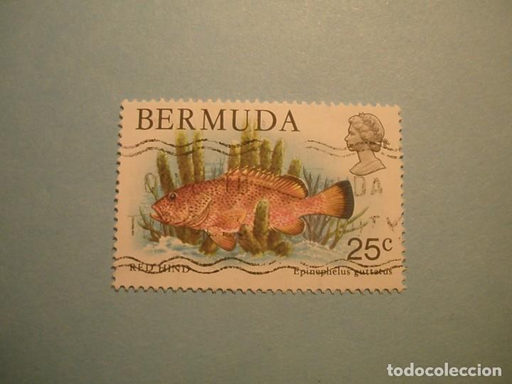 Sellos: BERMUDAS - PECES, RED HING. - Foto 1