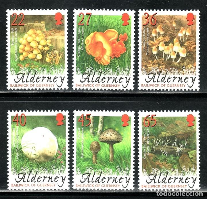 Sellos: SELLOS SETAS ALDERNEY 2004 225/230 6v. B - Foto 1