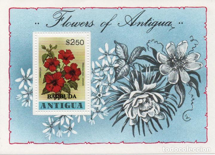 Sellos: Hoja bloque nueva de Barbuda de 1978. Tema flora - Foto 1