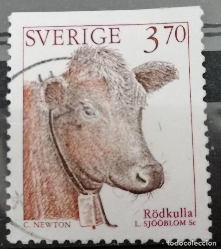 Stamps: SUECIA . 1995. ANIMALES DOMESTICOS 2 . *,MH ( 21-144)
