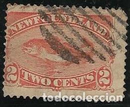 Sellos: TERRANOVA YVERT 36 PECES - Foto 1