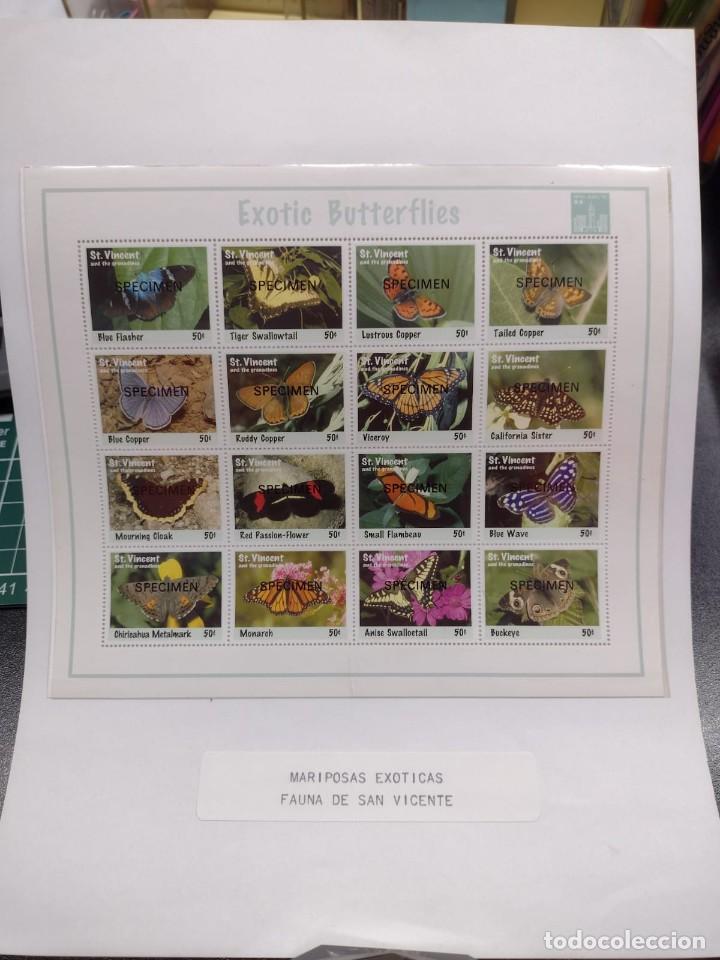 Briefmarken: O) 1994 SAN VICENTE Y GRANADINAS, MUESTRA, MARIPOSAS, DESTELLO AZUL, TIGRE, LUSTROUS, COLA, COBRE AZ