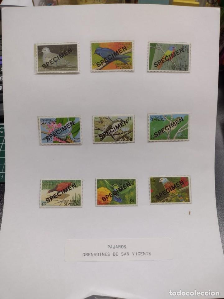 Briefmarken: O) 1990 SAN VICENTE Y LAS GRANADINAS, MUESTRA, P&Aacute;JAROS, PALOMA DE TIERRA, MORADO, PINTADO, CAPUCHA A