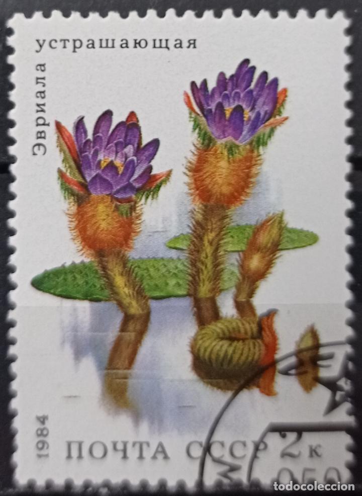 Sellos: Sellos Flores - Foto 1
