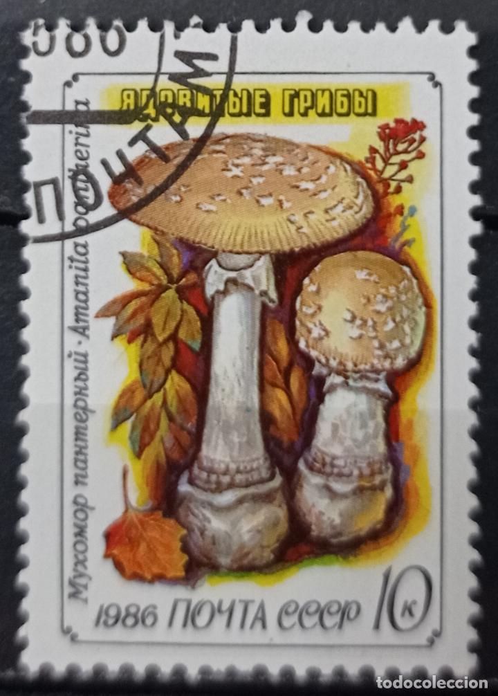 Sellos: Sellos Setas - Foto 1