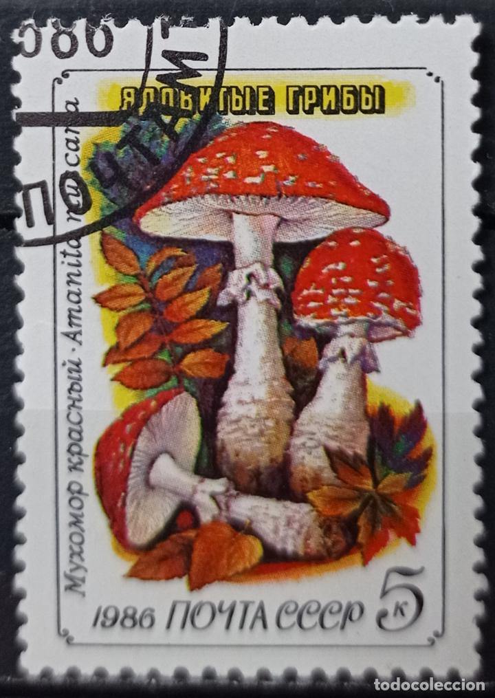 Sellos: Sellos Setas - Foto 1