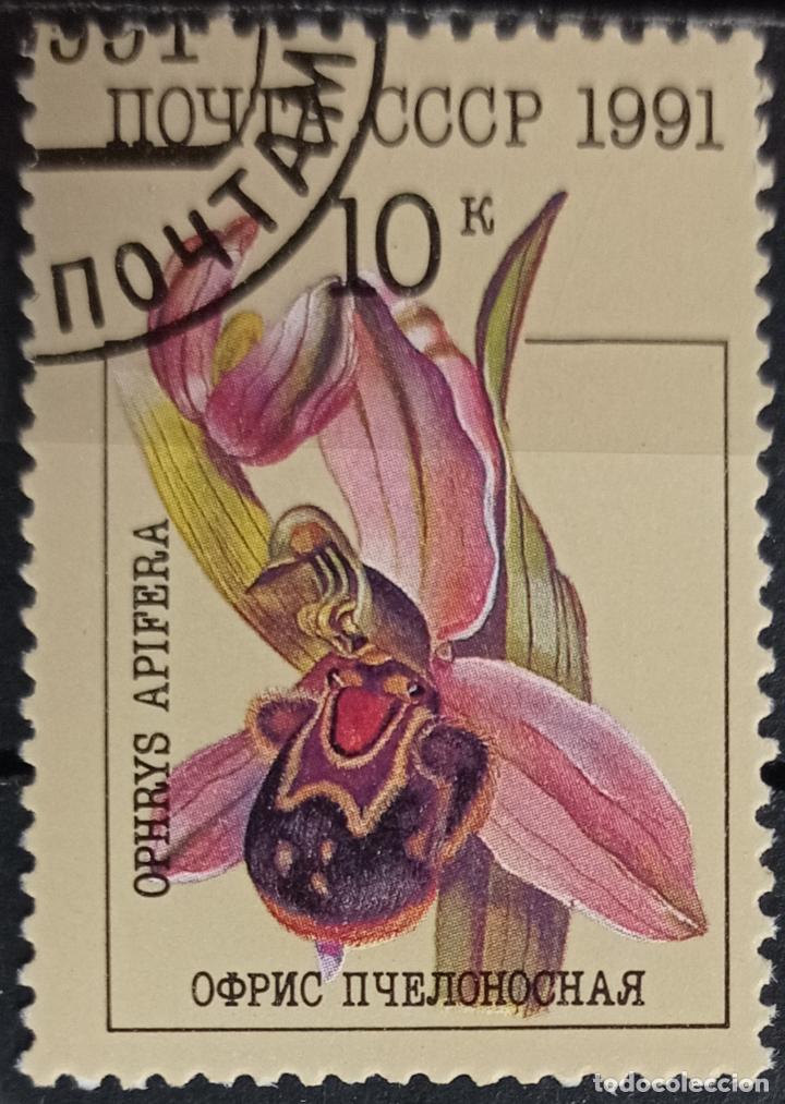 Sellos: Sellos Flores - Foto 1