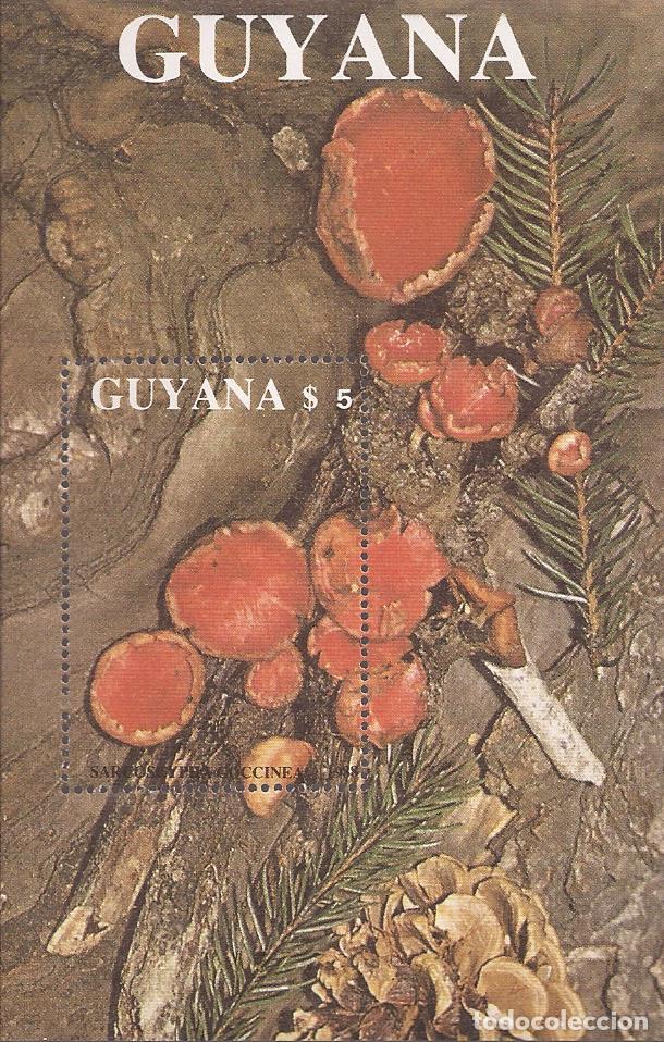 Sellos: SELLO DE GUYANA - FLORA SETAS - Foto 1