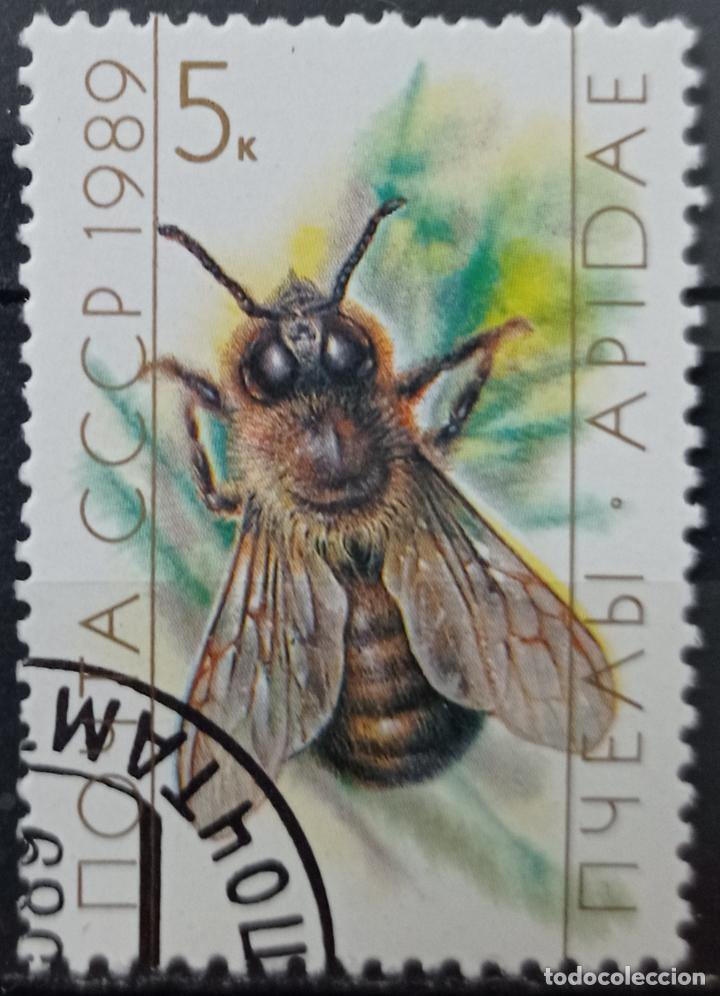 Sellos: Sellos Insectos - Foto 1