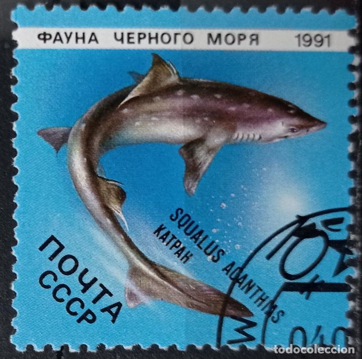 Sellos: Sellos Peces - Foto 1