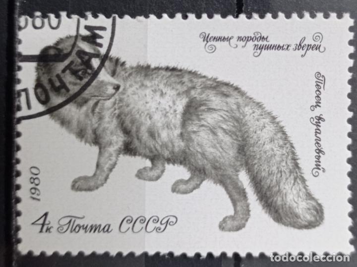 Sellos: Sellos Animales - Foto 1