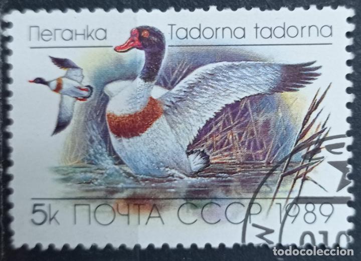 Sellos: Sellos Pajaros - Foto 1