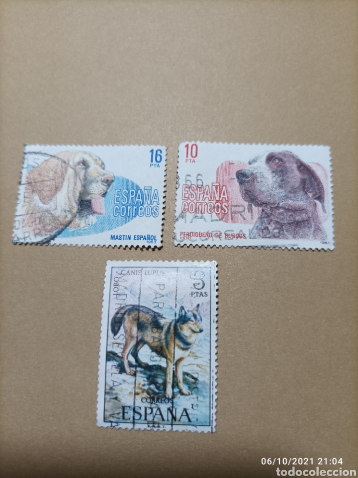 Sellos: Sellos. Razas de perros - Foto 1