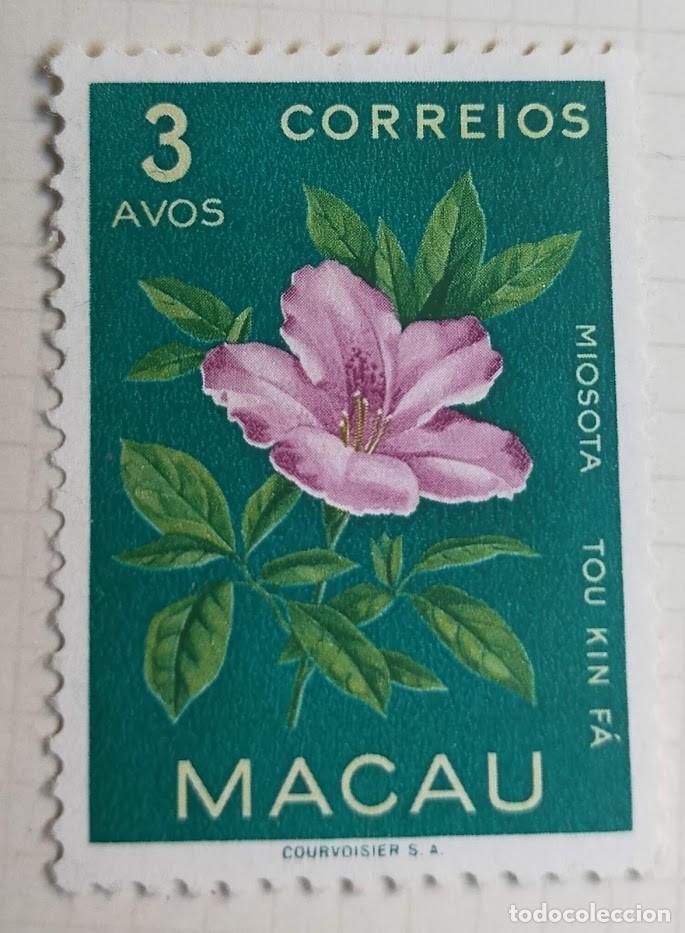Stamps: Sello Macao 1953 &rsaquo; Myosotis 3 Avo
