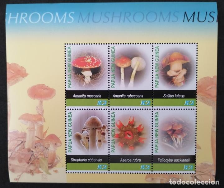 Sellos: PAPUA 2005 - HB MUSHROOMS . - Foto 1