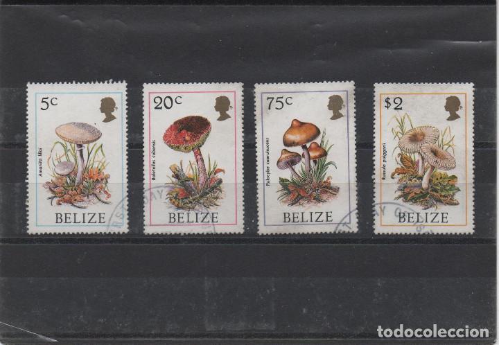 Sellos: Serie completa usada de Belice de 1986. Tema setas - Foto 1