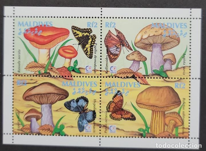 Selos: SO) FALKLANDS, FUNGI, BUTTERFLIES, NATURE