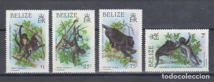 Sellos: Belize - Fauna, monos - Nuevo - Foto 1