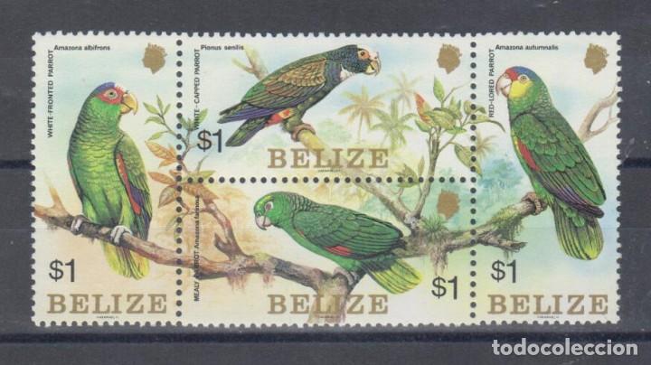 Sellos: Belize - Fauna, loros - Nuevo - Foto 1