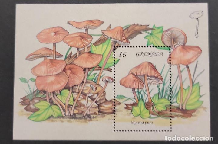 Sellos: SO) GRENADA, MUSHROOMS, SOUVENIR SHEET, MNH - Foto 1