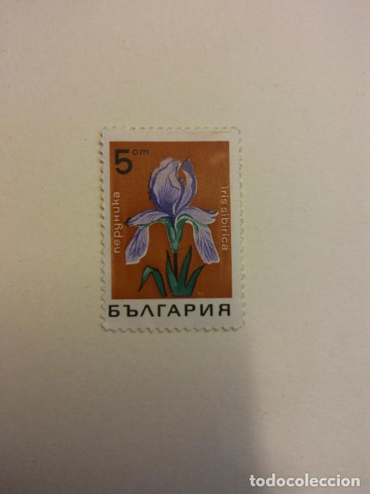 Sellos: SELLO. NEPYHUKA. IRIS SIBIRICA - Foto 1