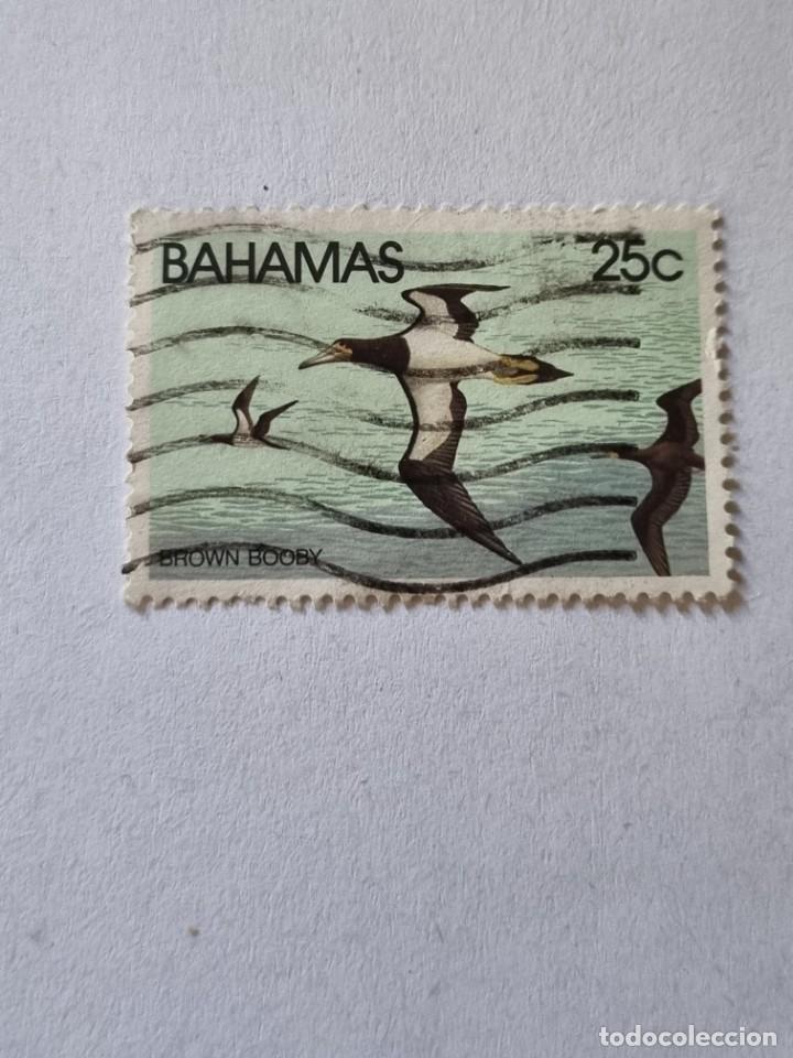 Selos: Sello - BAHAMAS - BROWN BOOBY - (b.62)