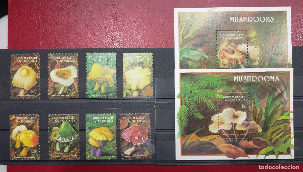 Sellos: DOMINICA. TEMA SETAS. CATALOGO YVERT 36 &euro; - Foto 1