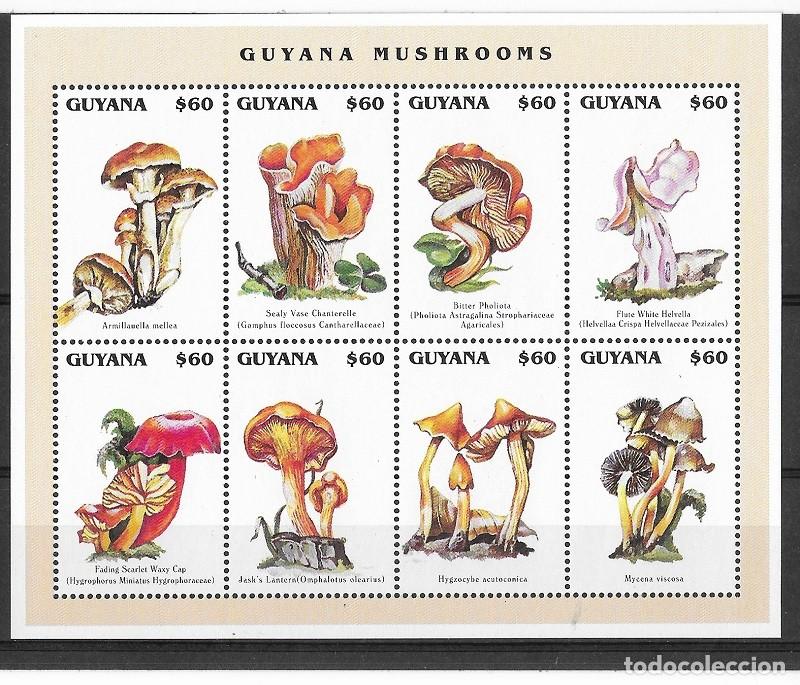 Sellos: GUYANA YVERT 4037/44**-4050/59**-4101/04** - Foto 1