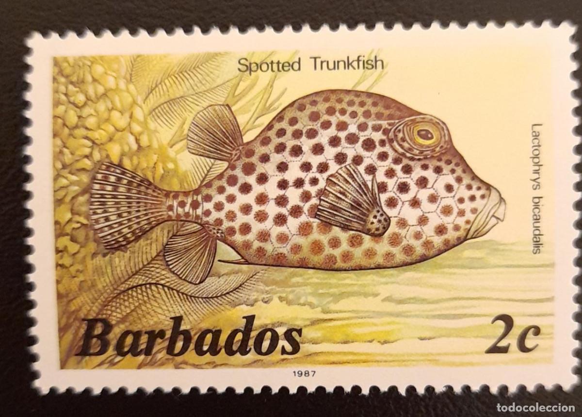 Sellos: SO) 1987 BARBADOS, FISH, SPOTTED TRUNKFISH, MNH - Foto 1