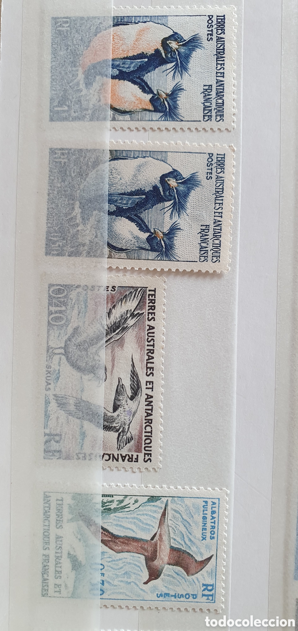 Sellos: Terrestre australes et antarctiques - Foto 1