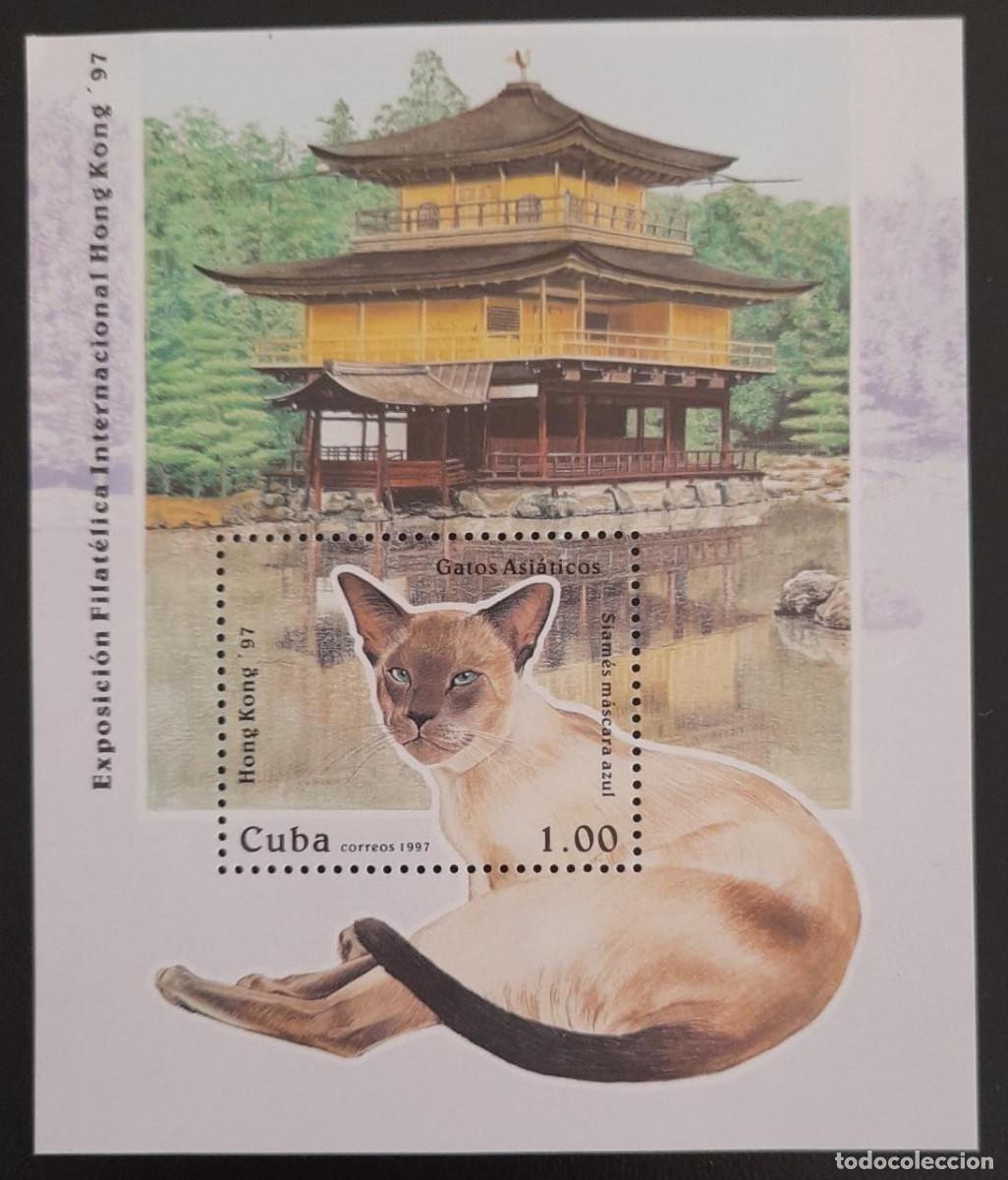 Francobolli: SO) 1997 CARIBBEAN, ASIAN CATS, TEMPLE, ARCHITECTURE, SHEET SOUVENIRS MNH