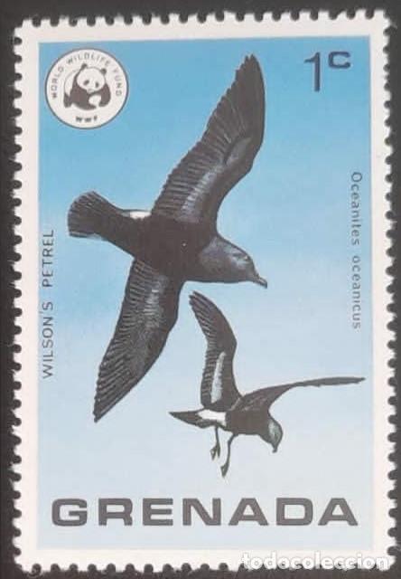 Sellos: SO) GRENADA, WWF, BIRDS, OCEANILES OCEANICUS, MNH - Foto 1