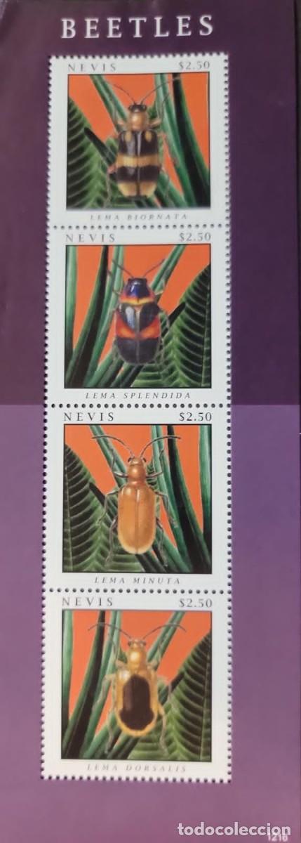 Sellos: O) 2012 NEVIS, BEETLES, LEMA MINUTO, INSECT, MNH - Foto 1