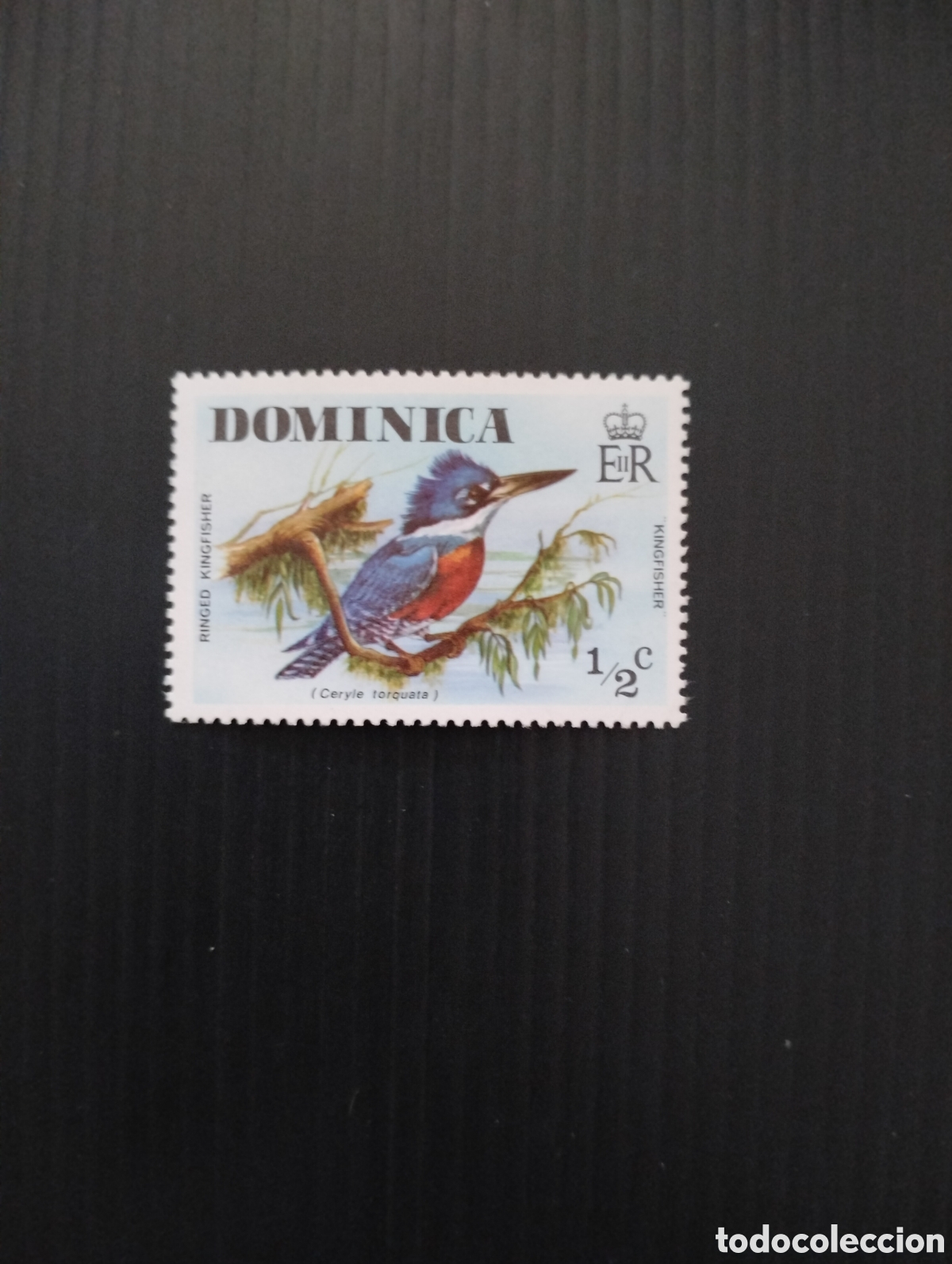 Sellos: DOMINICA P&Aacute;JAROS 1976 - Foto 1