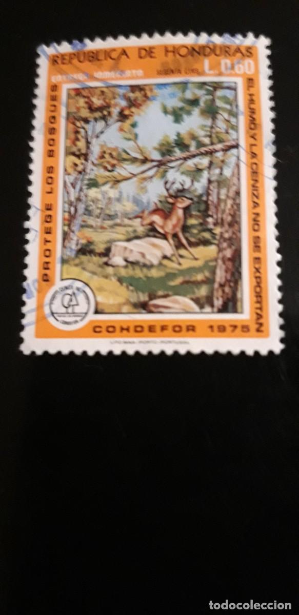 Briefmarken: 1 SELLO USADO DE ** TEMA FAUNA HONDURAS ** 1975