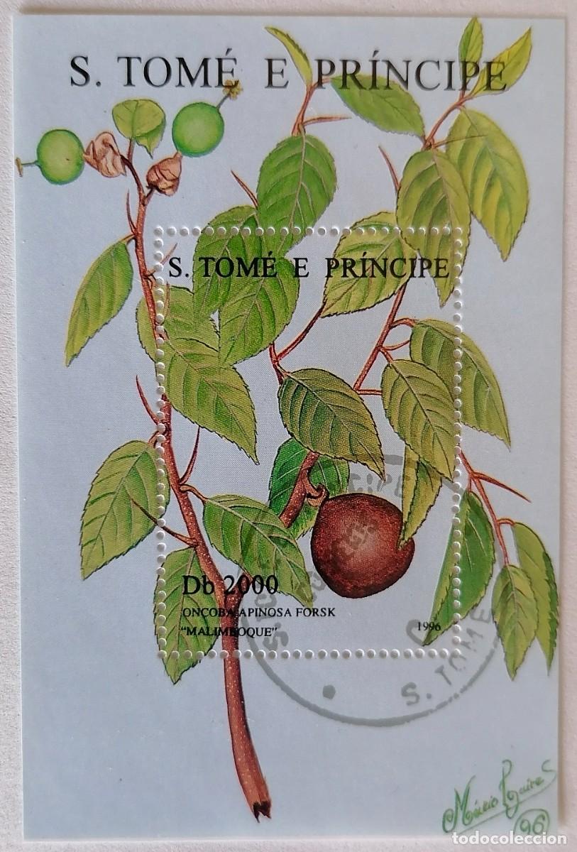 Sellos: SANTO TOM&Eacute; 1996 - HB ONCOBA SPINOSA . - Foto 1