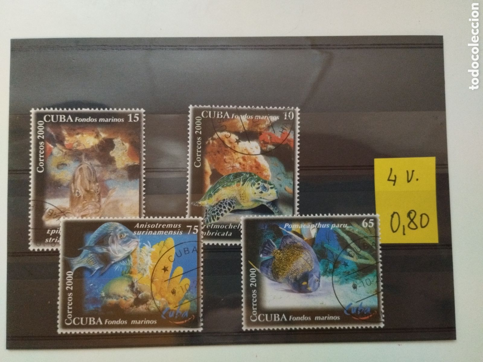 Sellos: Cuba peces 6v 2000 - Foto 1