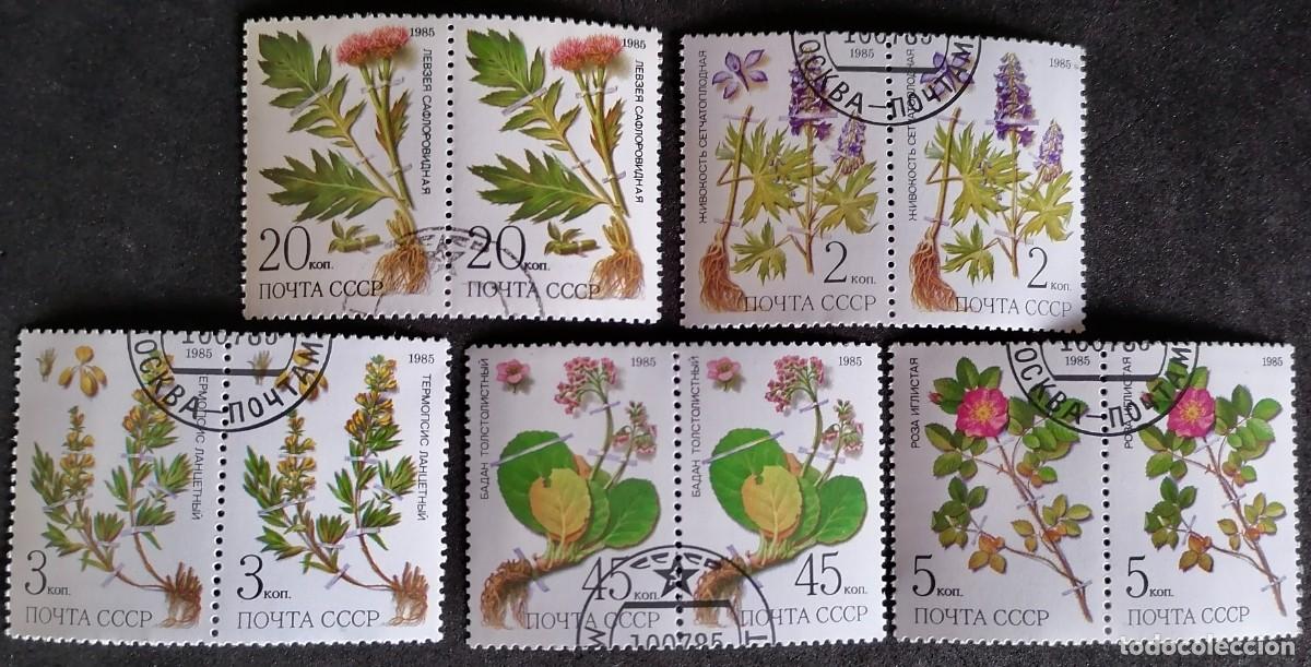 Sellos: URSS 1985 - PLANTAS DE SIBERIA . - Foto 1