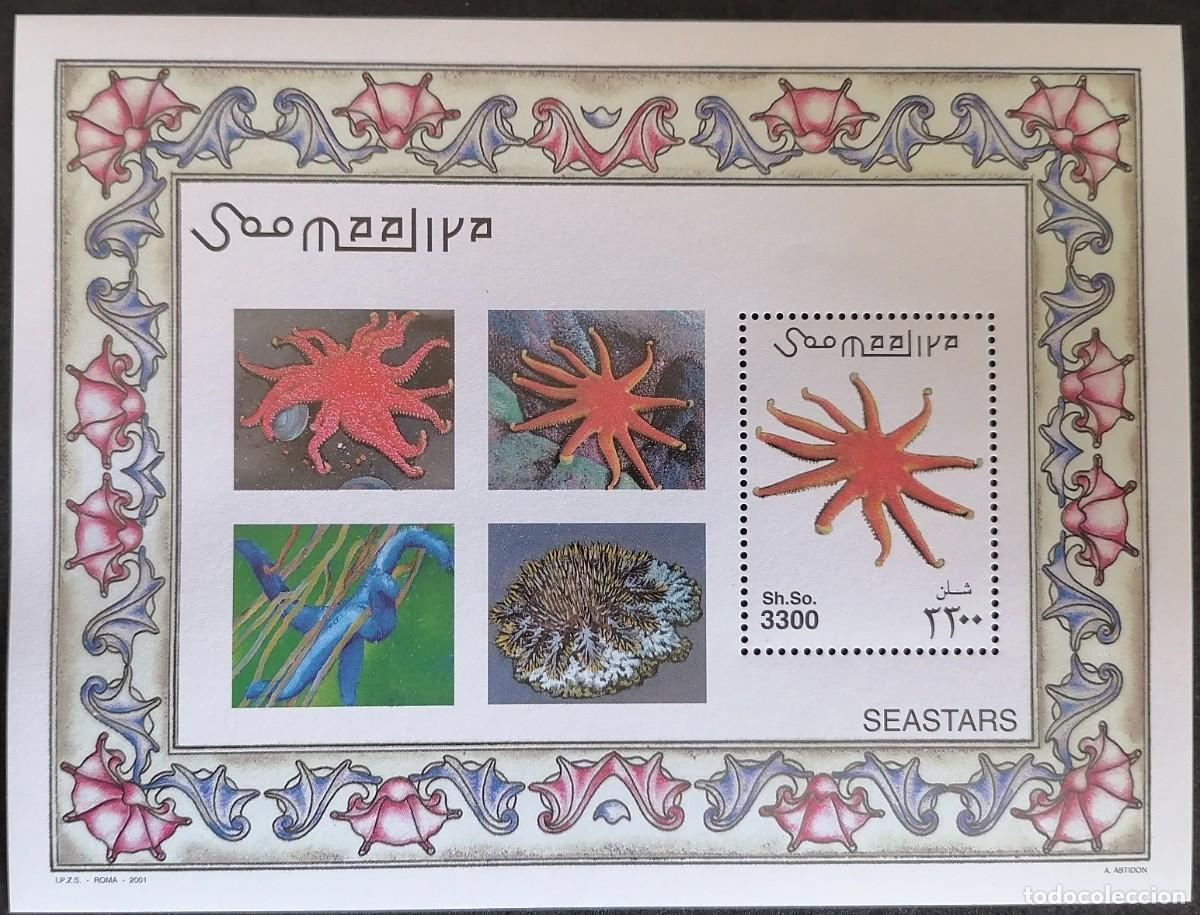 Sellos: SOMALIA 2001 - HB ESTRELLAS DE MAR = - Foto 1