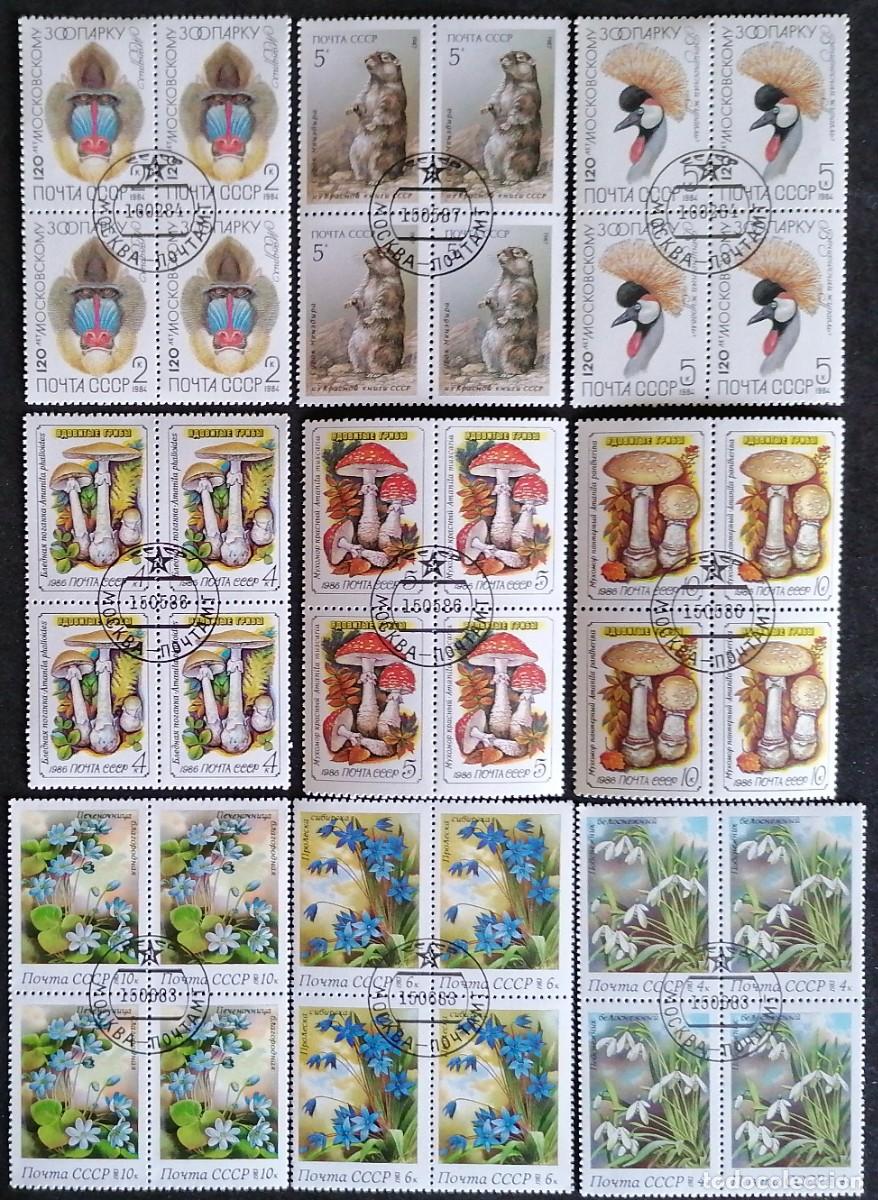 Sellos: URSS - FAUNA / FLORA / SETAS . - Foto 1