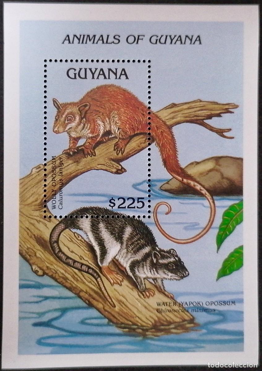 Sellos: GUYANA 1992 - HB ZARIG&Uuml;EYAS . - Foto 1