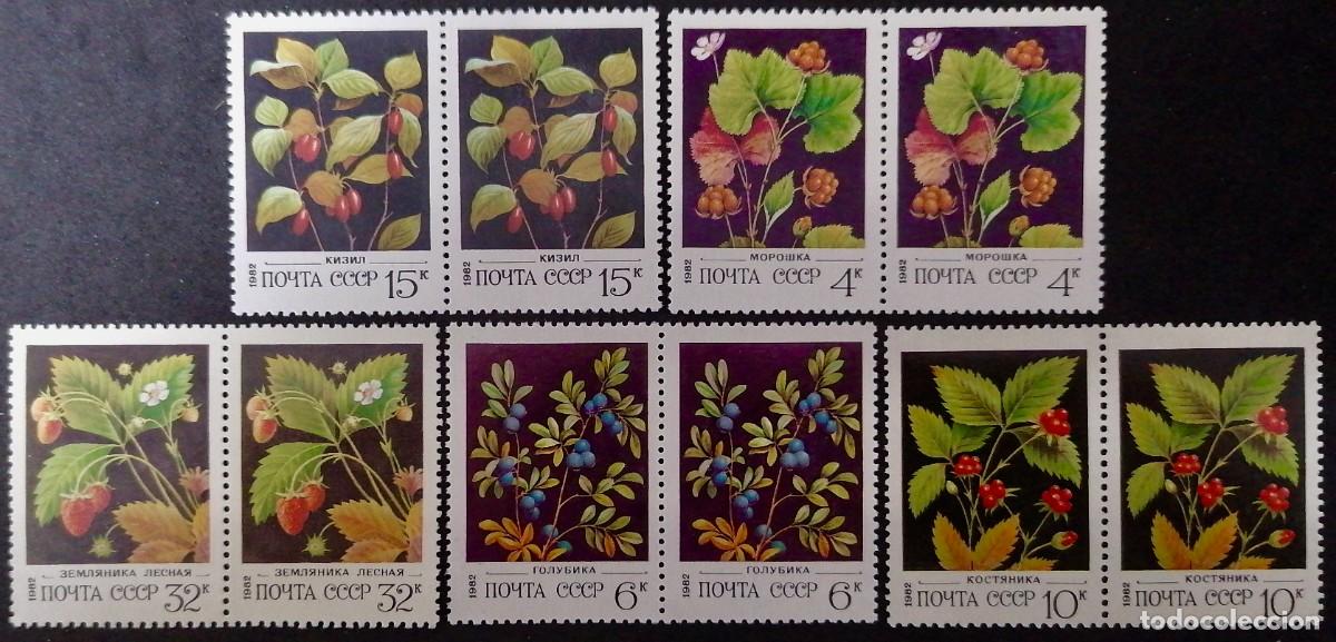 Sellos: URSS 1982 - BAYAS SILVESTRES . - Foto 1