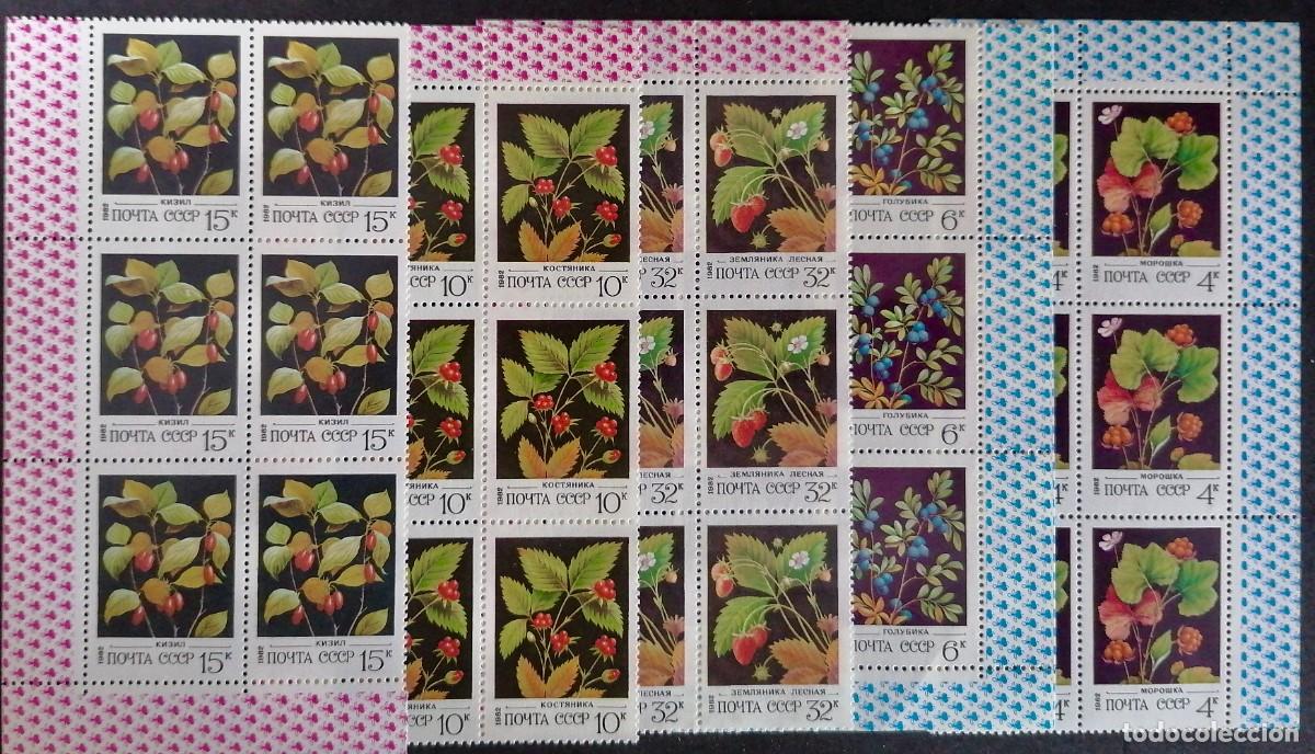 Sellos: URSS 1982 - BAYAS SILVESTRES . - Foto 1
